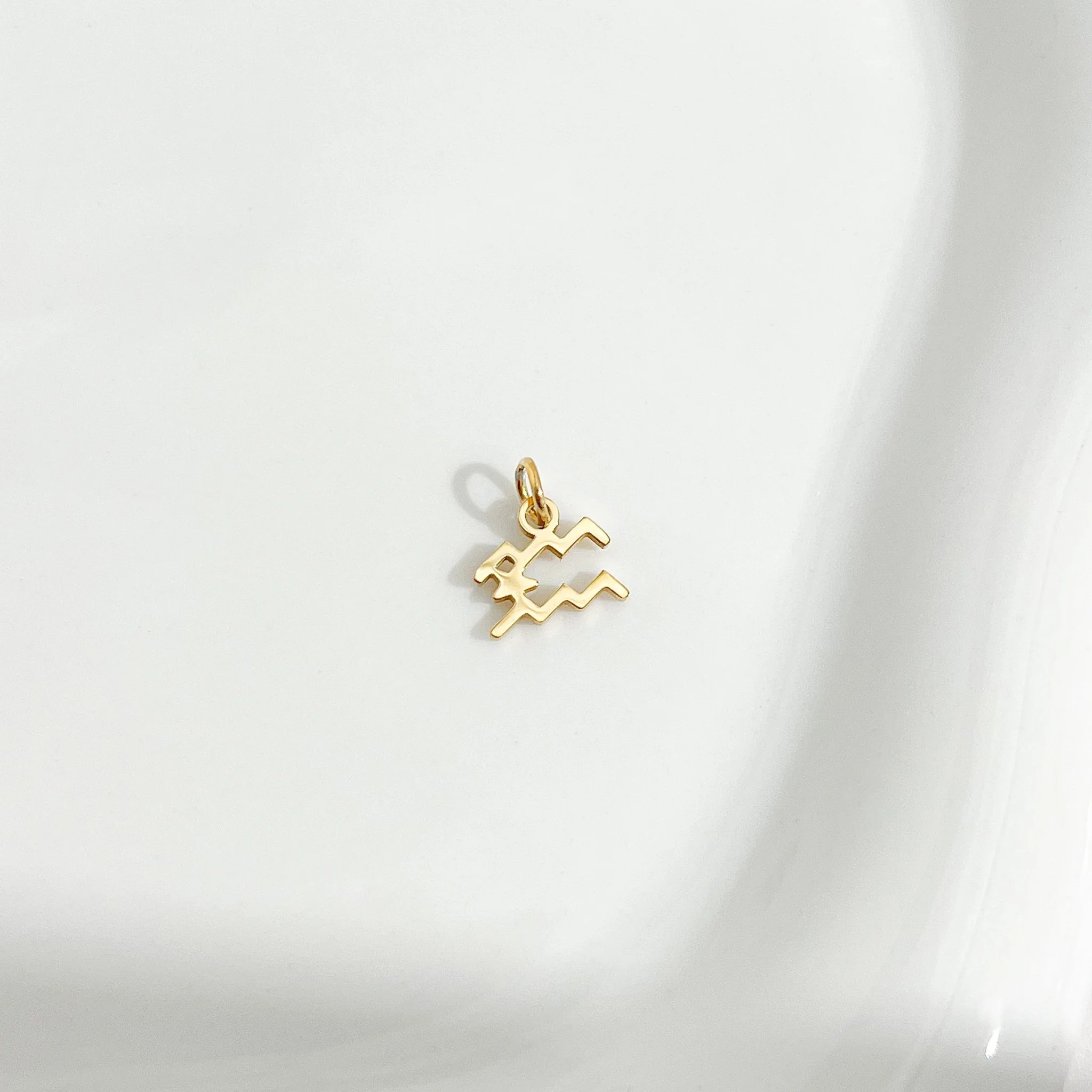 Dainty Zodiac Gold Necklace - Image 11