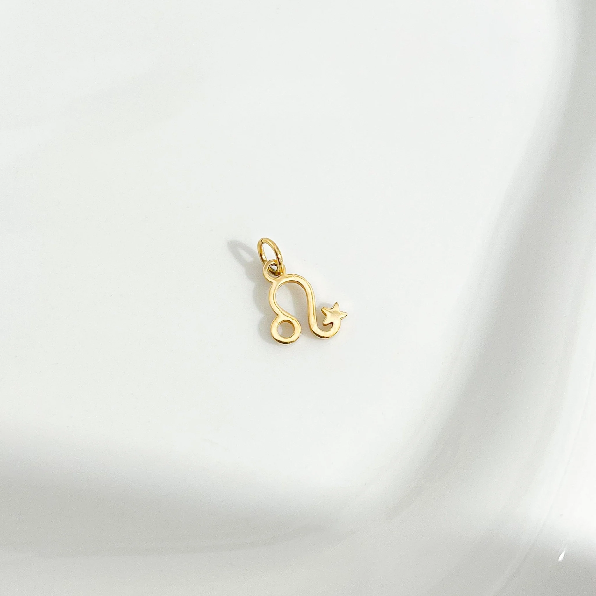 Dainty Zodiac Gold Necklace - Image 14