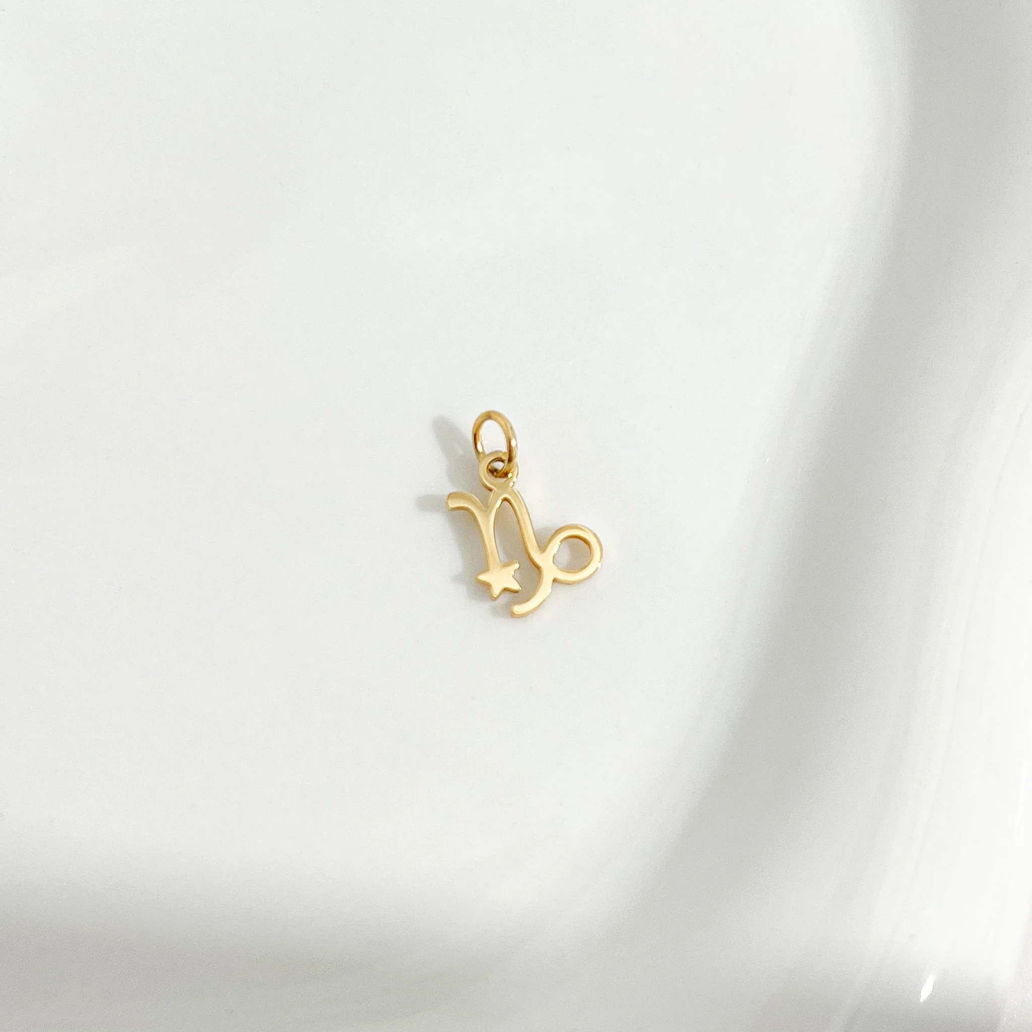 Dainty Zodiac Gold Necklace - Image 7