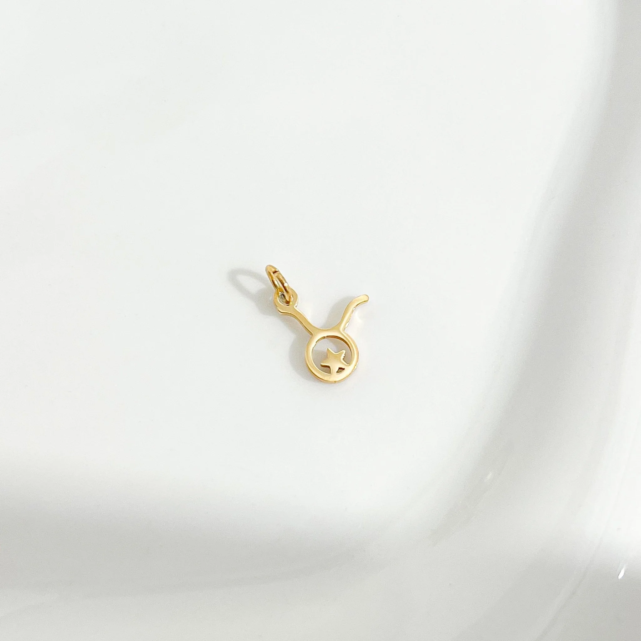 Dainty Zodiac Gold Necklace - Image 9