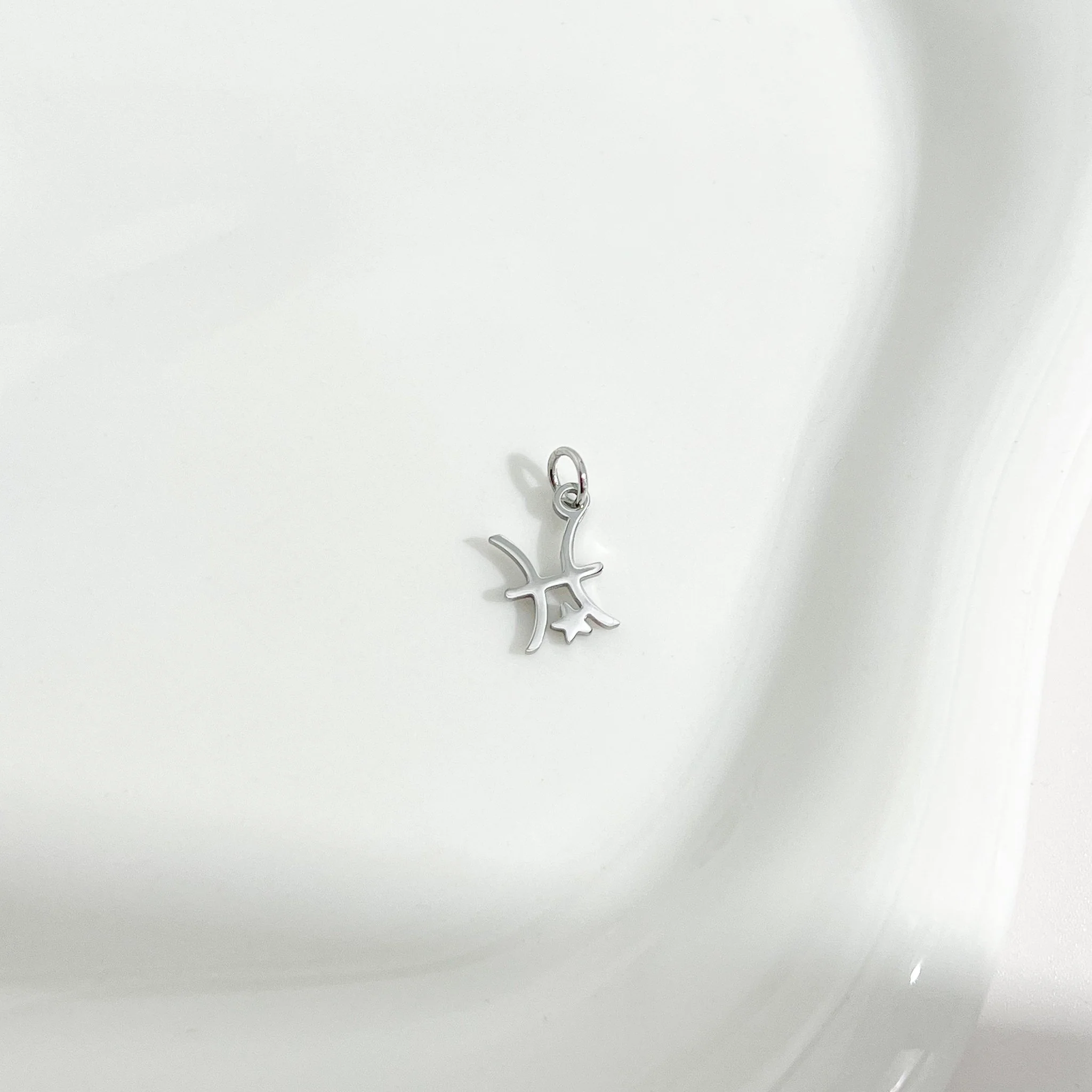 Dainty Zodiac Silver Necklace - Image 5
