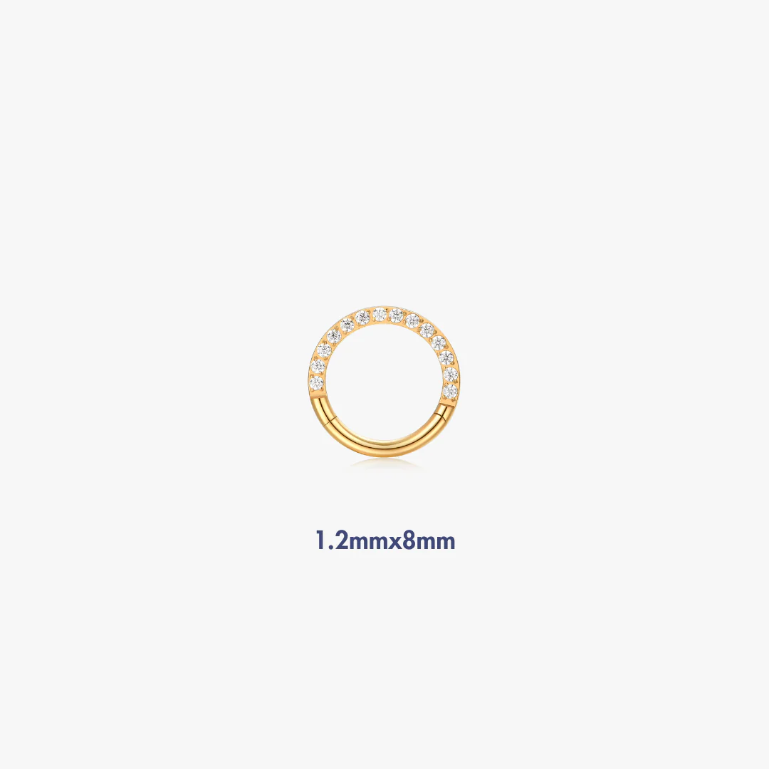Pave Titanium Hoop (Single) - Image 3