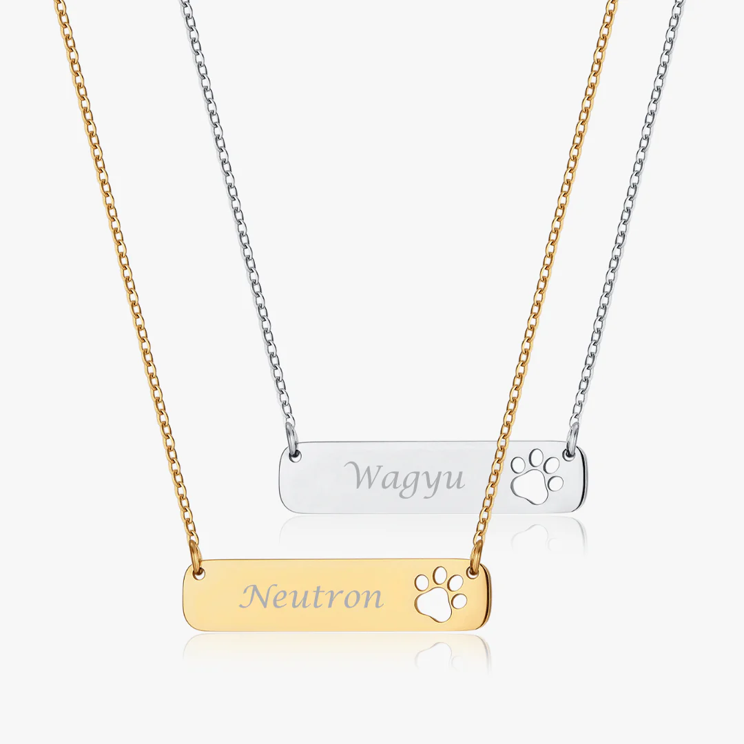 Paw Horizontal Bar Necklace (Pawsitive Change Collection)