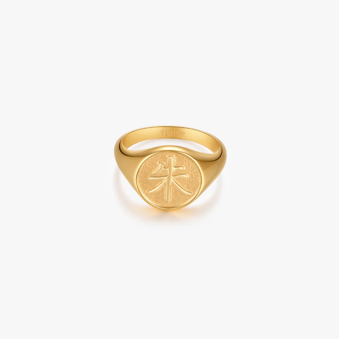 Scarlet Signet Ring (Anime Inspired Collection) - Image 9