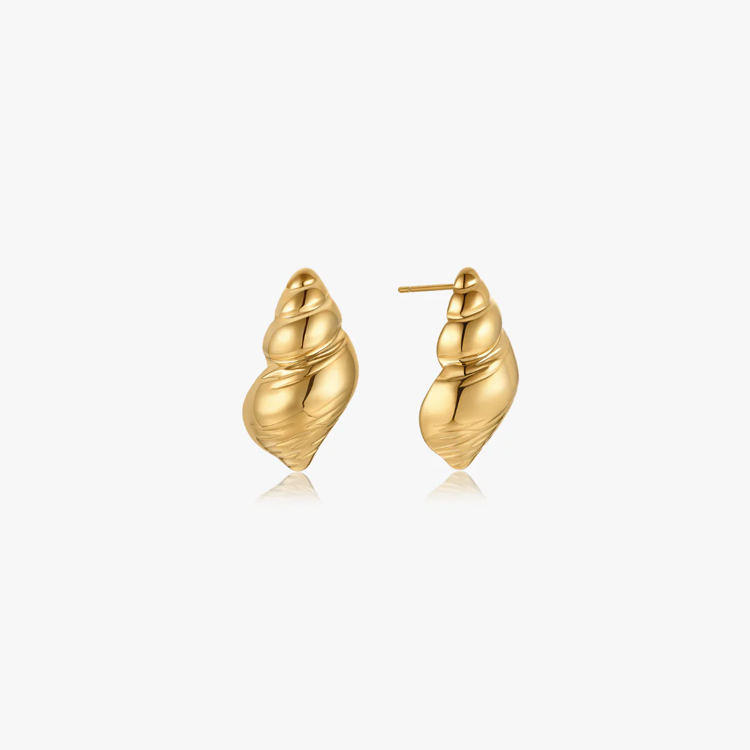 Shell Earrings